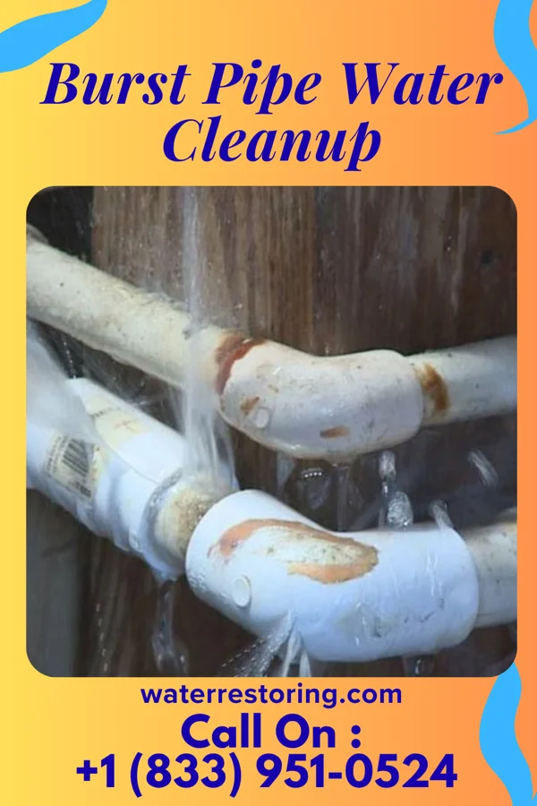Burst Pipe Water Cleanup in Otis Orchards-East Farms, WA