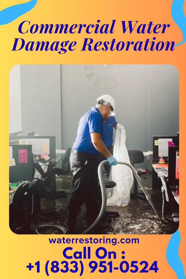 Commercial Water Damage Restoration in Otis Orchards-East Farms, WA
