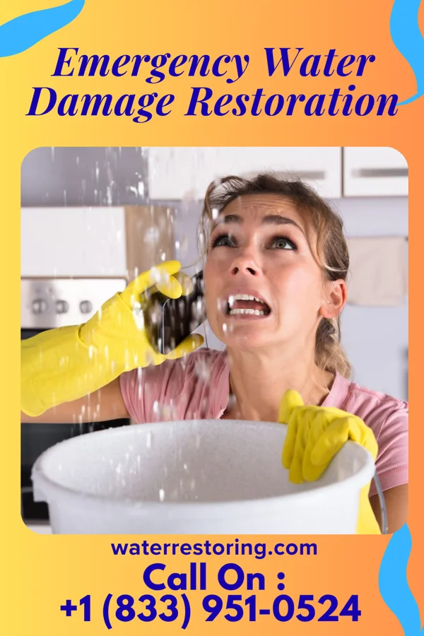 Emergency Water Damage Restoration in Otis Orchards-East Farms, WA