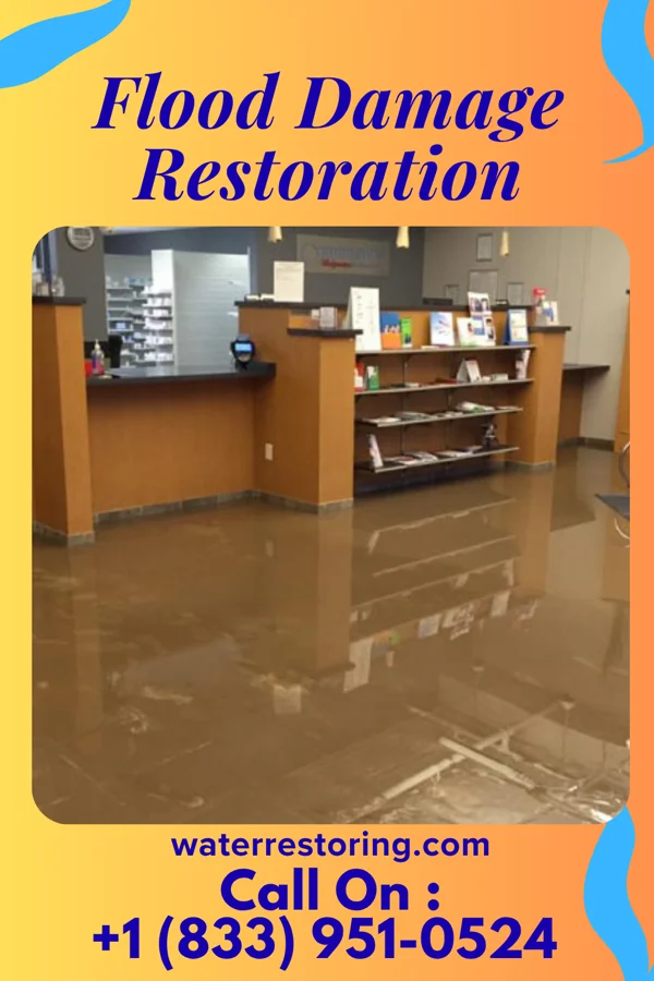 Flood Damage Restoration in Otis Orchards-East Farms, WA