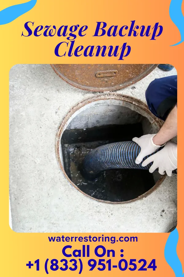 Sewage Backup Cleanup in Otis Orchards-East Farms, WA