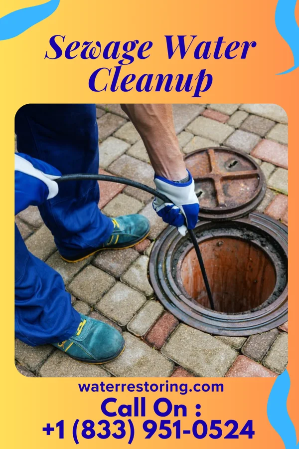 Sewage Water Cleanup in Otis Orchards-East Farms, WA